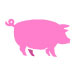 Pig033