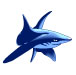Shark Notepad